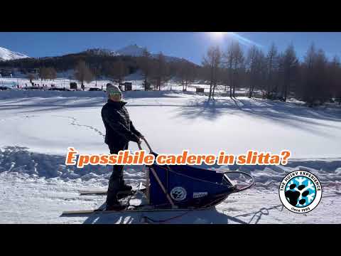 “Come funziona? E ce la farò?”