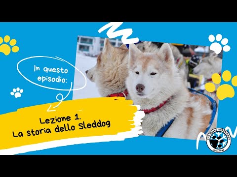 Lezione 1